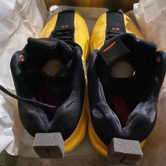 NWT Nike XXXV Dynasties - Picture 4 of 5